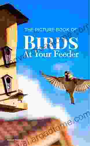 The Picture Of Birds At Your Feeder: Activity For Seniors With Dementia Alzheimers Impaired Memory Aging Caregivers (Discreet Picture Book)