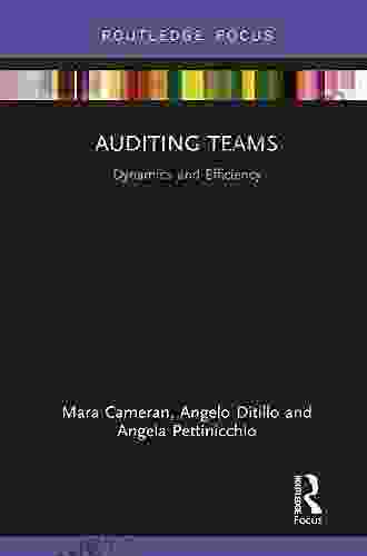 Auditing Teams: Dynamics And Efficiency (Routledge Focus On Business And Management)