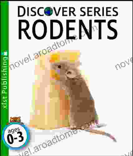 Rodents: Discover Picture For Children