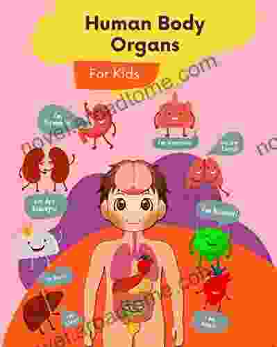 Human Body Organs: Anatomy Facts And Activity For Kids Ages 4 9