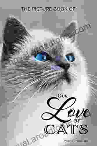 The Picture Of Our Love Of Cats: Activity For Seniors With Dementia Alzheimer S Impaired Memory Aging Caregivers (Discreet Picture Book)