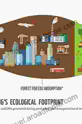 Energy Footprints Of The Bio Refinery Hotel And Building Sectors (Environmental Footprints And Eco Design Of Products And Processes)