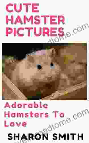 Cute Hamster Pictures: Adorable And Sweet Hamsters To Cuddle And Love (Vol 2)