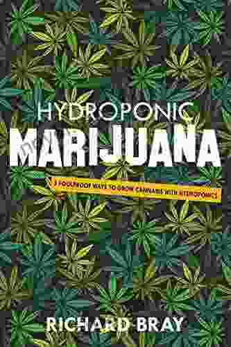 Hydroponic Marijuana: 3 Foolproof Ways To Grow Cannabis With Hydroponics (Urban Homesteading 5)