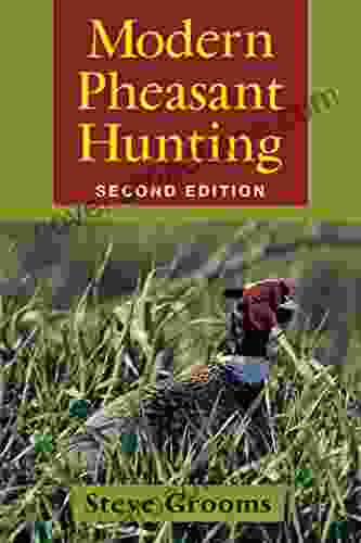 Modern Pheasant Hunting Steve Grooms