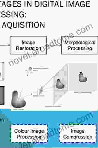 Single Sensor Imaging: Methods And Applications For Digital Cameras (Image Processing 9)