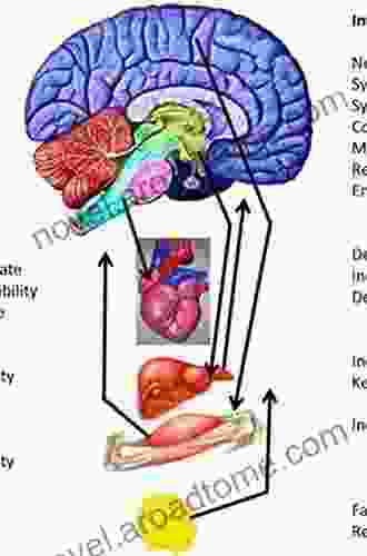 Physical Activity and the Aging Brain: Effects of Exercise on Neurological Function