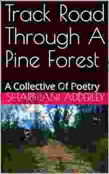 Track Road Through A Pine Forest: A Collective Of Poetry