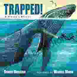 Trapped A Whale S Rescue Wendell Minor