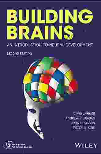 Building Brains: An Introduction to Neural Development (New York Academy of Sciences)