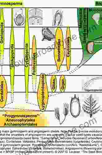 Phylogeny and Evolution of the Angiosperms: Revised and Updated Edition