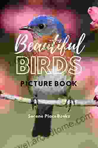 Beautiful Birds Picture Book: A Gift For Alzheimer S Patients And Seniors With Dementia (Picture And Dementia Activities For Seniors 1)