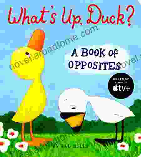 What S Up Duck?: A Of Opposites (Duck Goose)