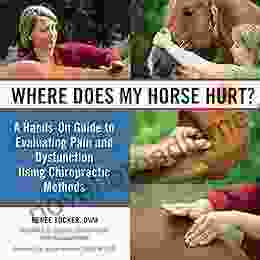 Where Does My Horse Hurt?: A Hands On Guide To Evaluating Pain And Dysfunction Using Chiropractic Methods